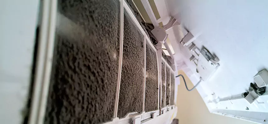 Preventive Air Duct Bacteria Removal in Vancouver