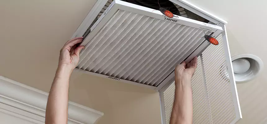 Preventive Cockroach-Proofing for Ducts in Vancouver