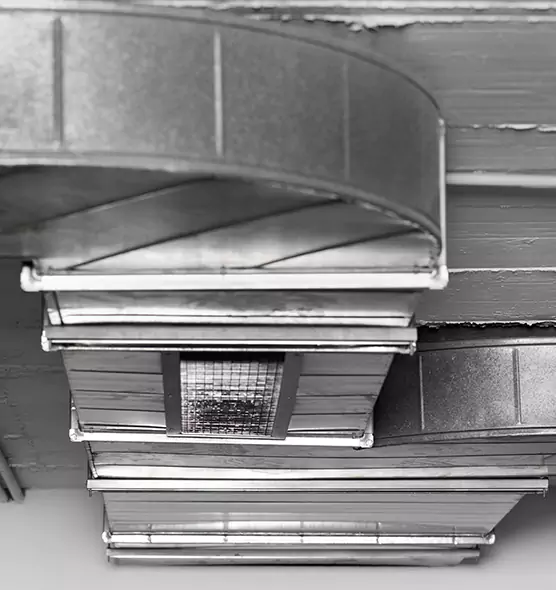 Professional Air Duct Pet Hair Removal in Vancouver, WA