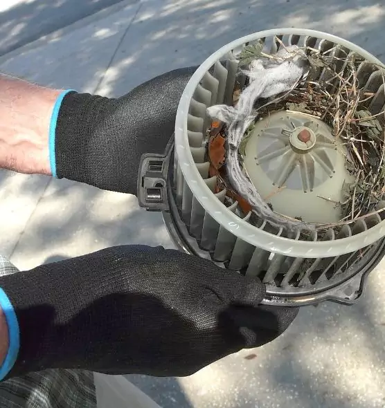 About Air Duct Rat Removal in Vancouver, WA