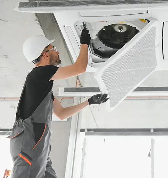 About Air Duct Rodent Removal in Vancouver, WA