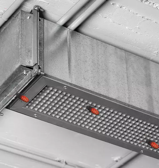 Affordable Insect Removal from Air Ducts in Vancouver, WA