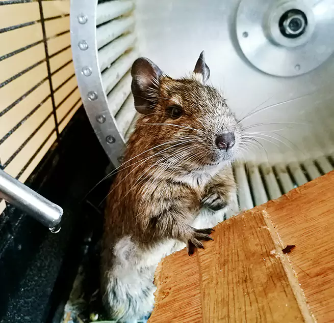 Why Homeowners & Businesses Trust Us Vancouver, WA?