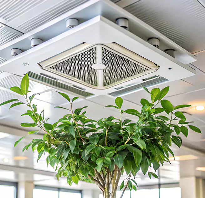 Why Homeowners & Businesses Trust Us in Vancouver, WA