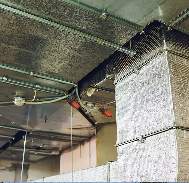 Why Homeowners & Businesses Trust Us Vancouver, WA?